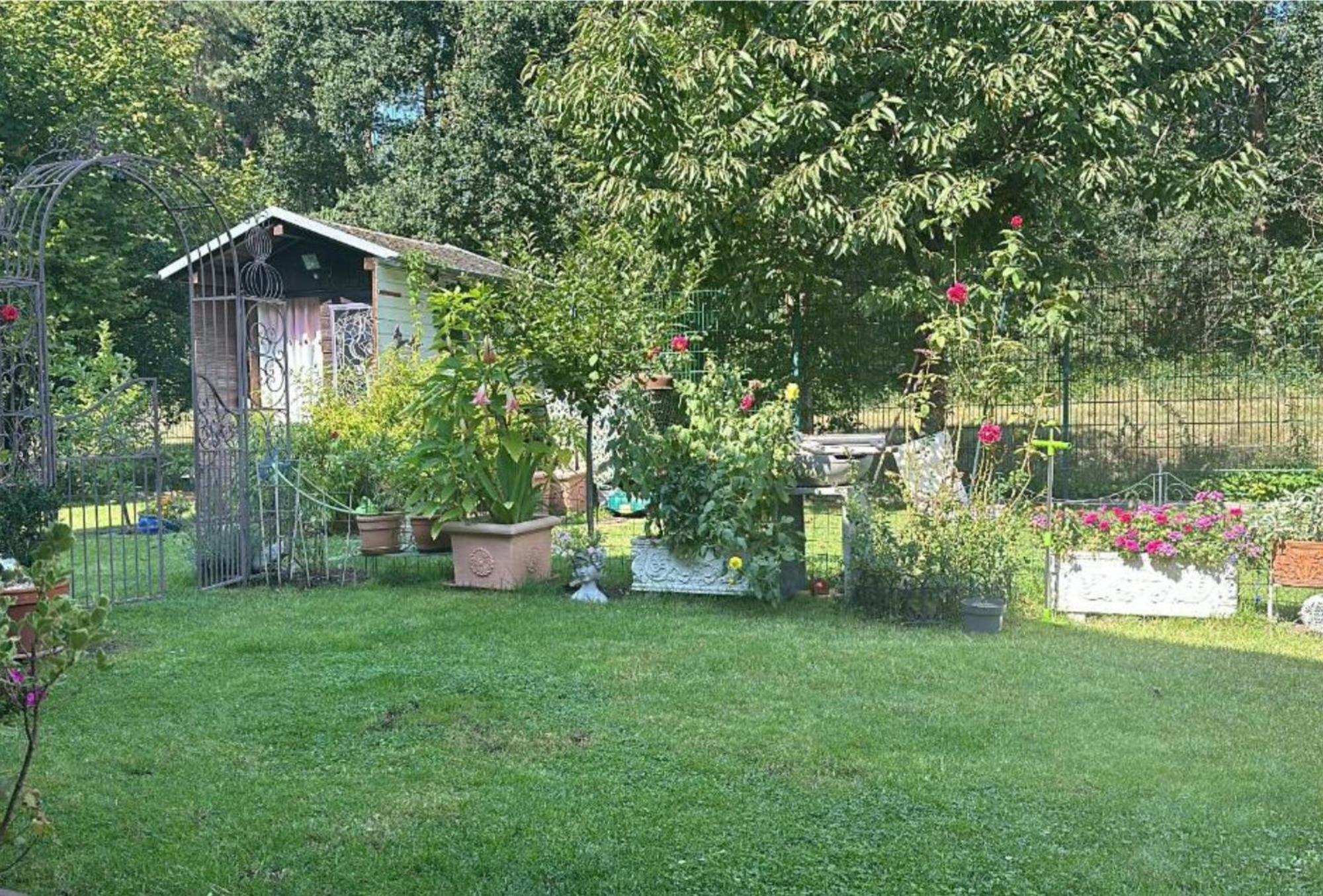 Grosse Helle Wohnung Am Wald In Bad Saarow Nahe Gruenheide Und Berlin Souterrain エクステリア 写真